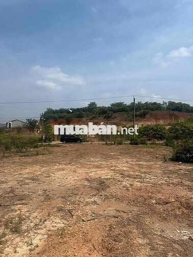 Chính chủ cần bán gấp lô đất ngay trung tâm Bù Nho Đồng Nai