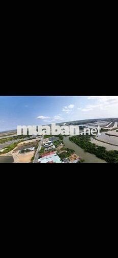 Đất Nông Nghiệp/ 5ha, đường Lý Nhơn