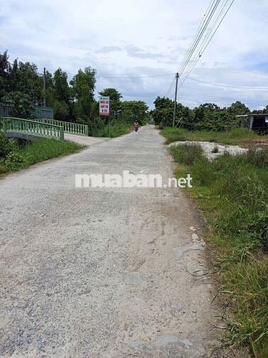 Cần sang nhượng đất vườn nhãn đường số 10