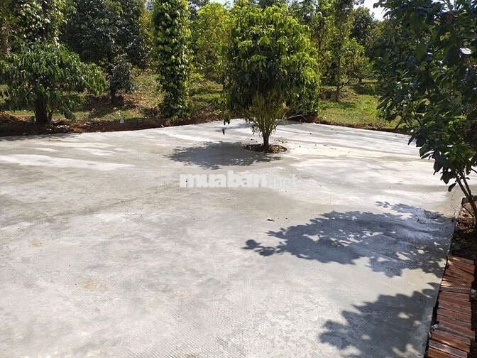 SIÊU PHẨM NHÀ VƯỜN/ FARMSTAY (9,2 Sào)