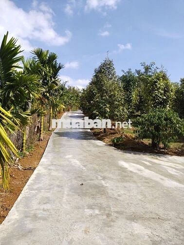 SIÊU PHẨM NHÀ VƯỜN/ FARMSTAY (9,2 Sào)
