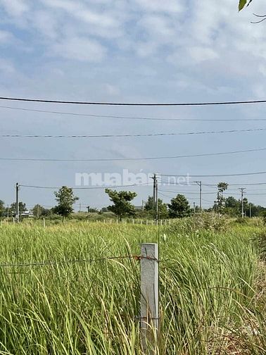 Bán đất 5x17, Quốc lộ 50, Cần Đước  Long An, gần cao tốc Bến Lức