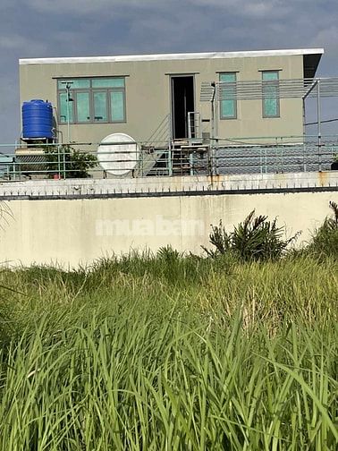 Bán đất 5x17, Quốc lộ 50, Cần Đước  Long An, gần cao tốc Bến Lức