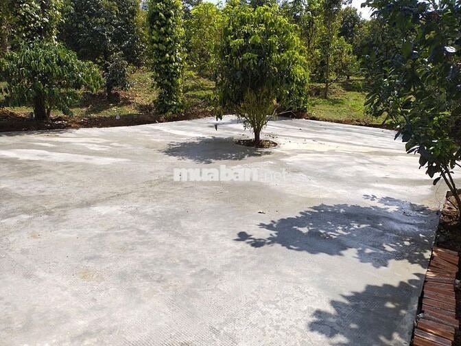 SIÊU PHẨM NHÀ VƯỜN/ FARMSTAY (9,2 Sào)