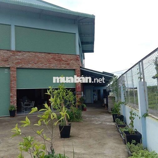 Cho thuê kho xưởng Xuân Thới Sơn
