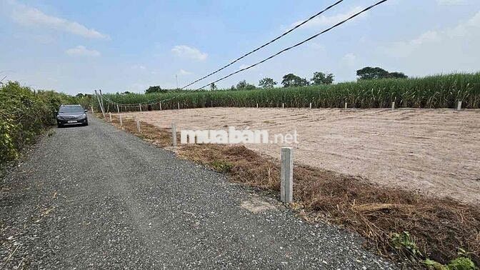 Đất Thổ Cư 5x26m Đường Ô Tô Thạnh Đức Gò Dầu Tây Ninh