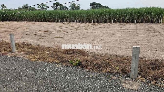 Đất Thổ Cư 5x26m Đường Ô Tô Thạnh Đức Gò Dầu Tây Ninh