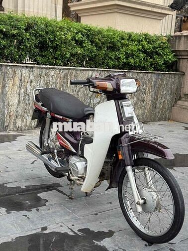 Honda Dream Tím trắng