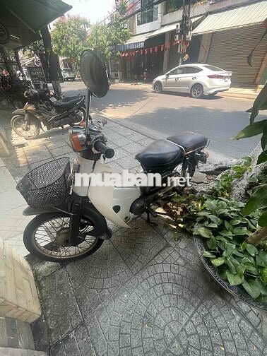Honda Cub 81 Trắng Xanh