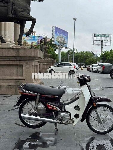 Honda Dream Tím trắng
