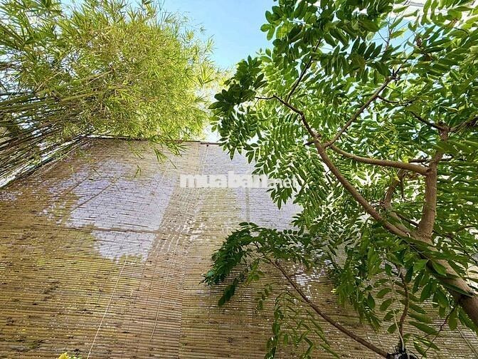 Bán Nhà hẻm Đoàn Trần Nghiệp phường Bắc Nha Trang. Nằm gần Trường Đại