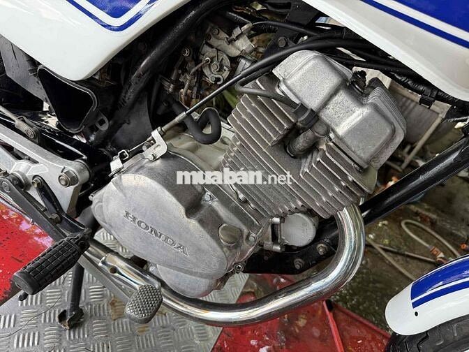 Honda CB250 Nighthawk Trắng, Xanh