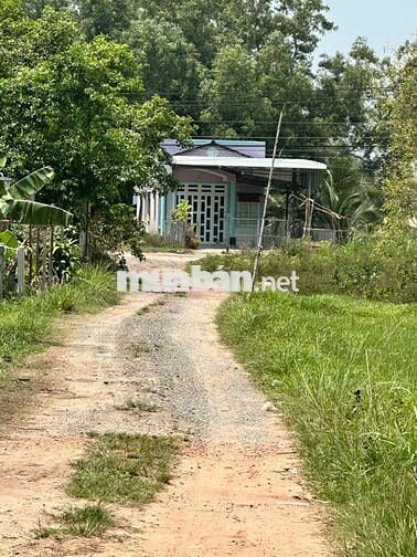 BÁN NHANH LÔ ĐẤT 379M2 1 SẸC Đ.ĐẶNG VĂN TRƯỚC. GIÁ 680 TRIỆU.SHR
