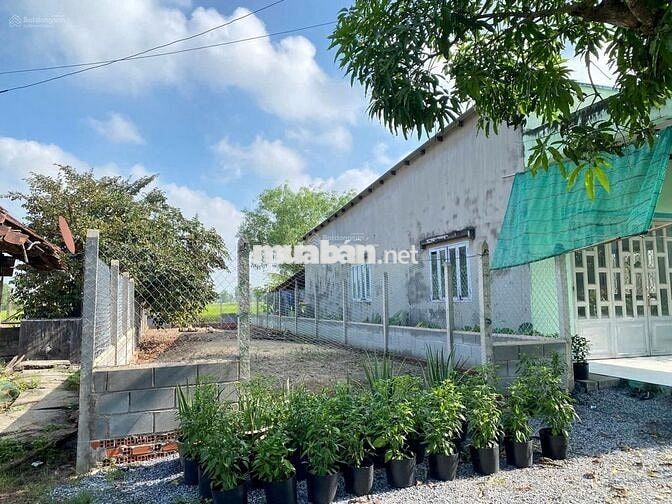 BÁN GẤP LÔ ĐẤT 341 M2 Đ.AN KHƯƠNG.SÁT KCN TRẢNG BÀNG.GIÁ 795 TRIỆU