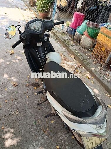 Suzuki Axelo Trắng xanh