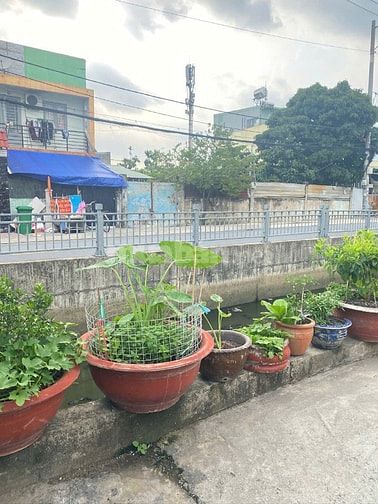 Bán đất thổ cư 60m2, giá chỉ 2,65 tỷ
