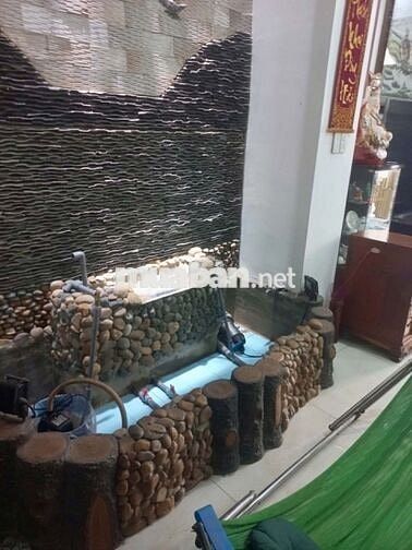 BIỆT THỰ CHO THUÊ LÀM VĂN PHÒNG/SHOWROOM TẠI THỦ ĐỨC (CÓ TẦNG HẦM)