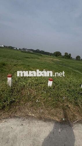 Cần bán nhanh: giá chỉ 520 triệu cho 576,2 m2 tại xã Bình Mỹ, Củ Chi.