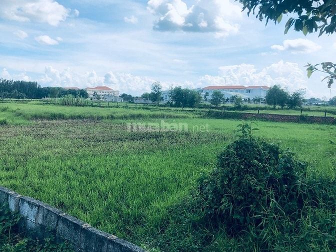 Bán 2.000m2 đất thổ cư xã Tân An Hội, Phước Hiệp cũ