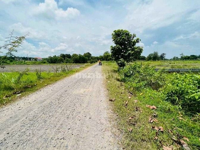 Bán 2.000m2 đất thổ cư xã Tân An Hội, Phước Hiệp cũ