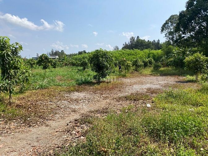 Đất nghỉ dưỡng – kinh doanh dịch vụ – homestay Trị An Đồng Nai – 6000m