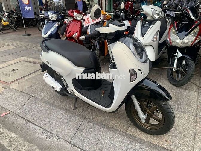Honda Scoopy Trắng đen