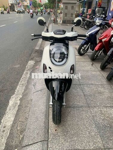 Honda Scoopy Trắng đen