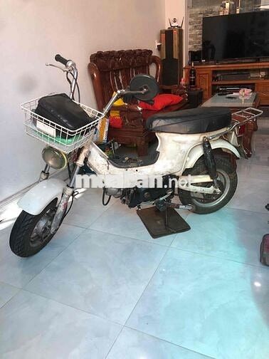 Honda Chaly màu Trắng