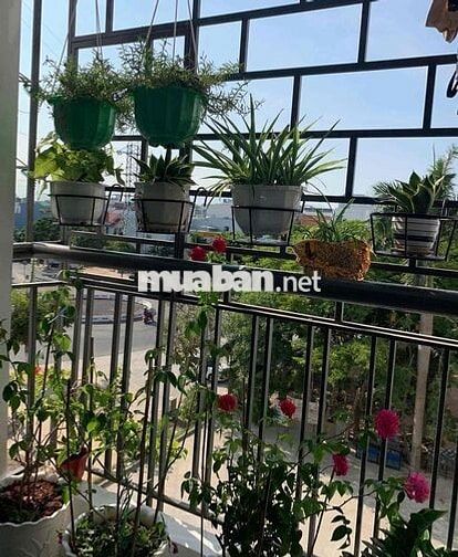 🔴 BÁN GẤP CĂN HỘ VICOLAND 01 LÊ THANH NGHỊ - TRUNG TÂM QUẬN H