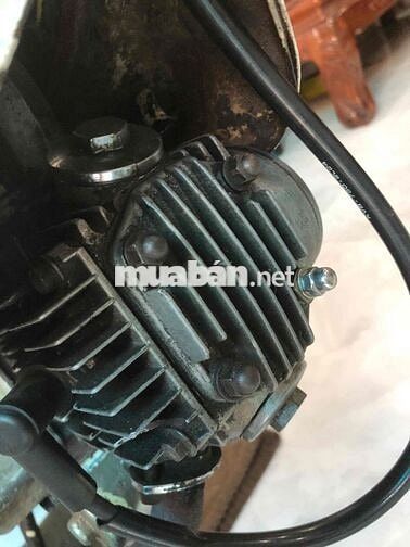 Honda Chaly màu Trắng