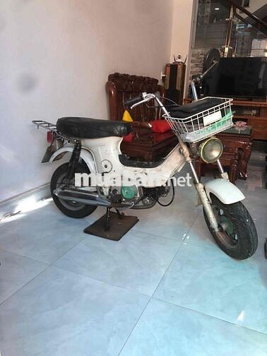 Honda Chaly màu Trắng