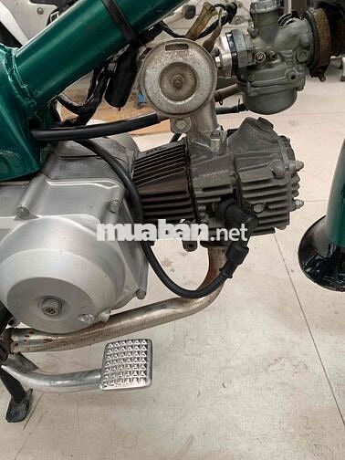 Honda Cúp 86 70cc Xanh lá