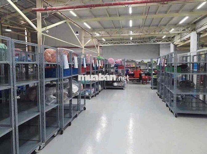 cho thuê kho xưởng 5000m2 pccc tự động, đường container