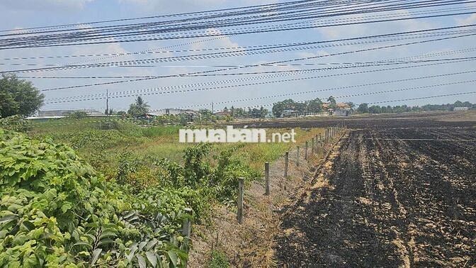 NGỘP RẺ. Đất Đt 817, xã Mỹ Thạnh, Thủ Thừ