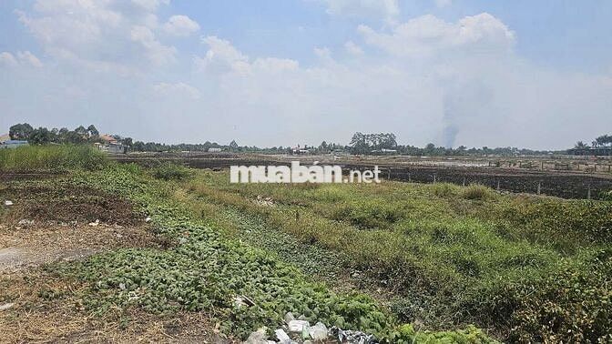 NGỘP RẺ. Đất Đt 817, xã Mỹ Thạnh, Thủ Thừ