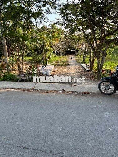 Bán Đất Vườn giá 3tỷ/ hẻm 6met/ Khu đất đẹp