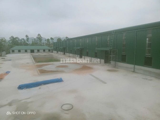 Cho thuê làm nhà xưởng sx, nhà kho
