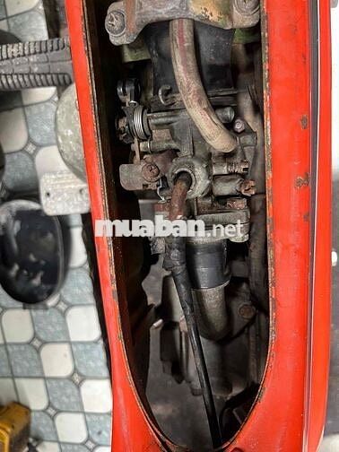 Honda Chaly màu Đỏ
