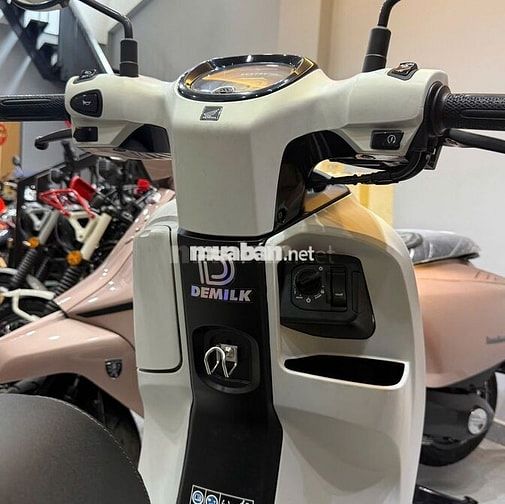 Honda Scoopy 110 2025 Trắng 6900km