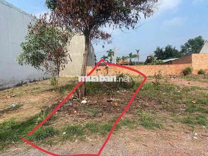 🚨 CẦN BÁN GẤP LÔ 5x20 – KP 4B TRẢNG DÀI 🚨  💥 Diện tích: 5x20 (100m²) 💥