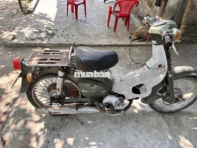 Honda Super Cub 81 50cc Xanh rêu