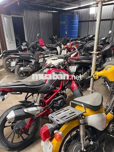 Xe máy Nhiều loại đã sử dụng