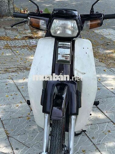 Honda Dream Loncin Trắng Đen