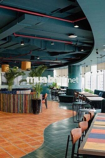 phụ sơ chế , dọn dẹp , rửa chén bếp căn tin