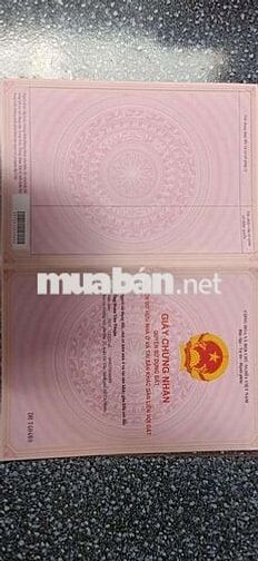 ĐẤT VƯỜN FULL TRÁI CÂY LÂU NĂM. THỔ CƯ 700M CHÍNH CHỦ