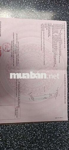 ĐẤT VƯỜN FULL TRÁI CÂY LÂU NĂM. THỔ CƯ 700M CHÍNH CHỦ