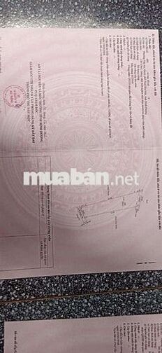 ĐẤT VƯỜN FULL TRÁI CÂY LÂU NĂM. THỔ CƯ 700M CHÍNH CHỦ