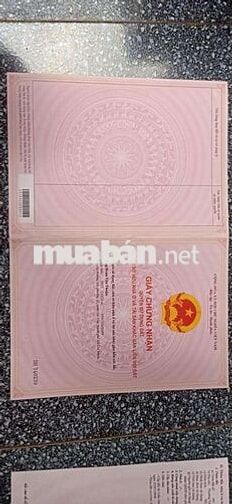 ĐẤT VƯỜN FULL TRÁI CÂY LÂU NĂM. THỔ CƯ 700M CHÍNH CHỦ