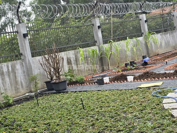 Bán nhà vườn Sài Gòn, gần sông mát mẻ