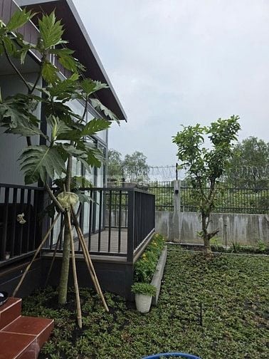 Bán nhà vườn Sài Gòn, gần sông mát mẻ